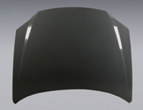 VW BOAR(2009-) HOOD